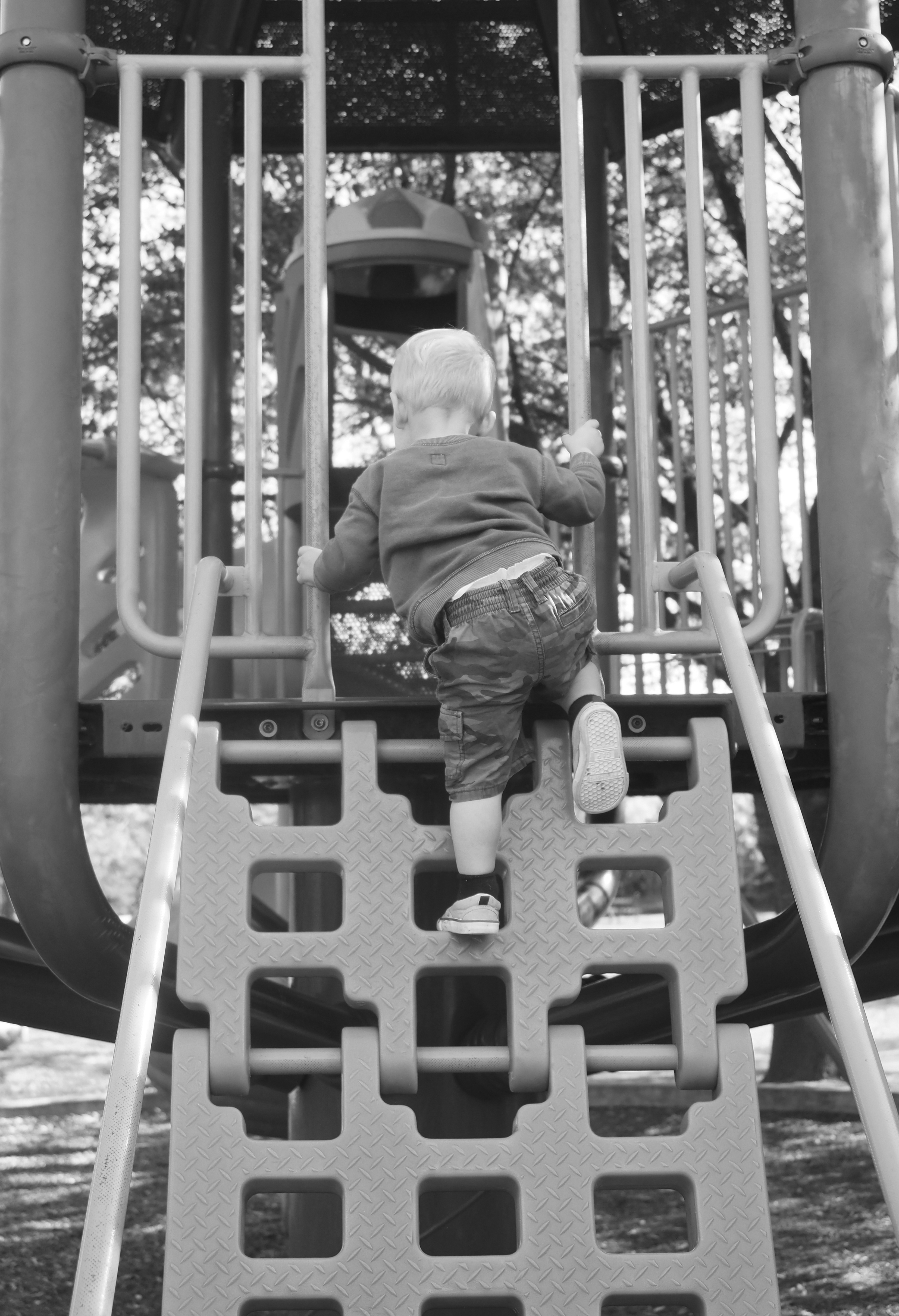 Rollingwood Park, undated. City of Rollingwood photo collection.